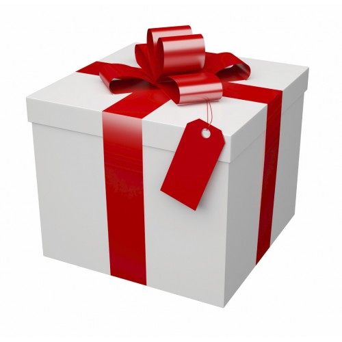 Christmas Present Ideas